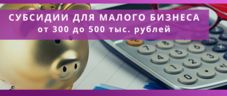 subsidii dlya malogo biznesa v 2021 gody naloginvest udalennaya buhgalteriya dostupnaya buhgalteriya