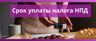 samozanyatue srok uplaty nalogov